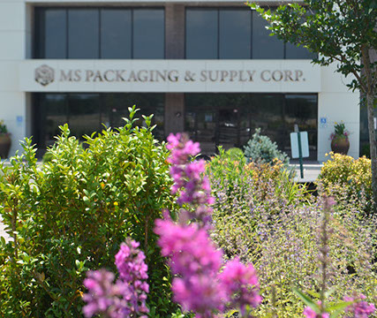 MS PACKAING DISTRIBUTION FACILITY