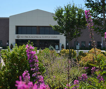 MS PACKAING DISTRIBUTION FACILITY